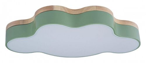 Накладной светильник Loft it 10005/30 Green