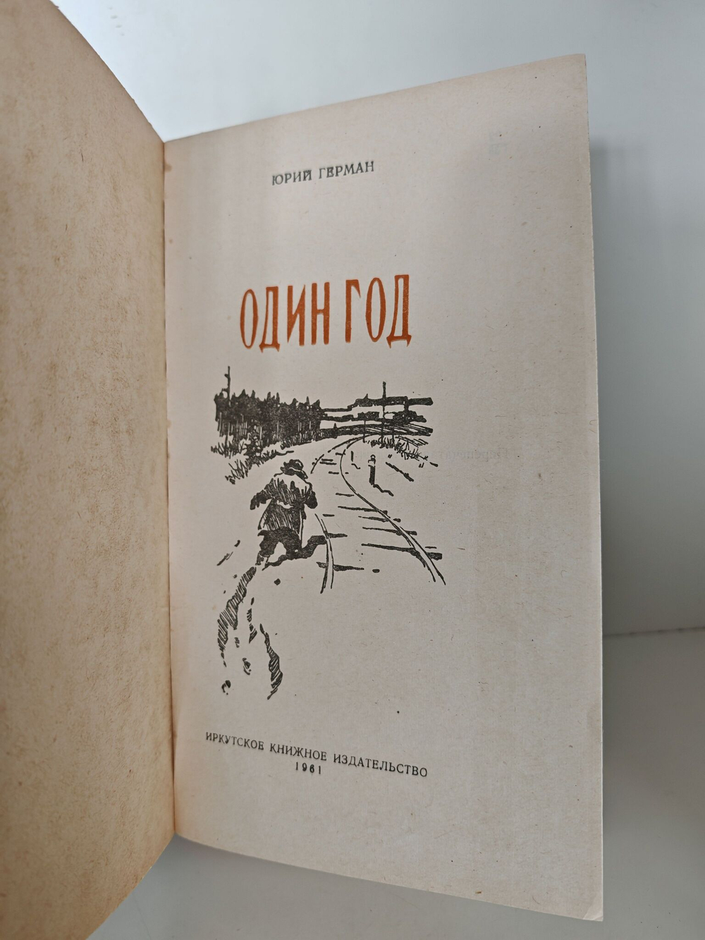 Один год