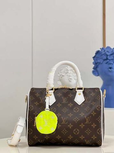 Louis Vuitton Speedy 25