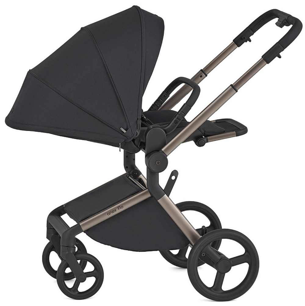 Детская коляска Anex Flo 2 в 1 Solo