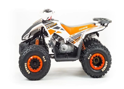 Квадроцикл MOTOLAND 125 COYOTE