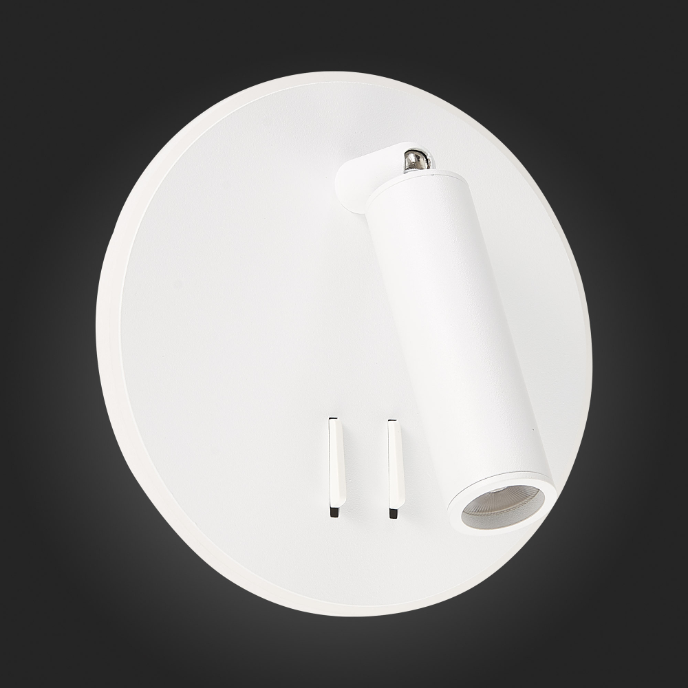 Светильник настенный ST Luce SL1586.513.01