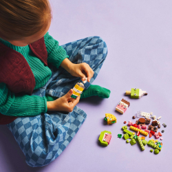 Конструктор LEGO Classic 11039 Творческие лакомства — фото 20