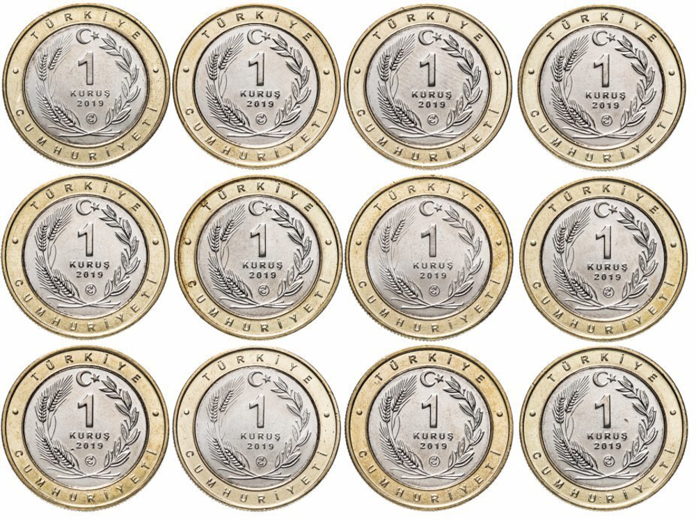 Набор из 12 монет 1 куруш. Анталийские Птицы. Турция. 2019 (2020). UNC