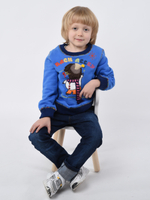 Толстовка для мальчика