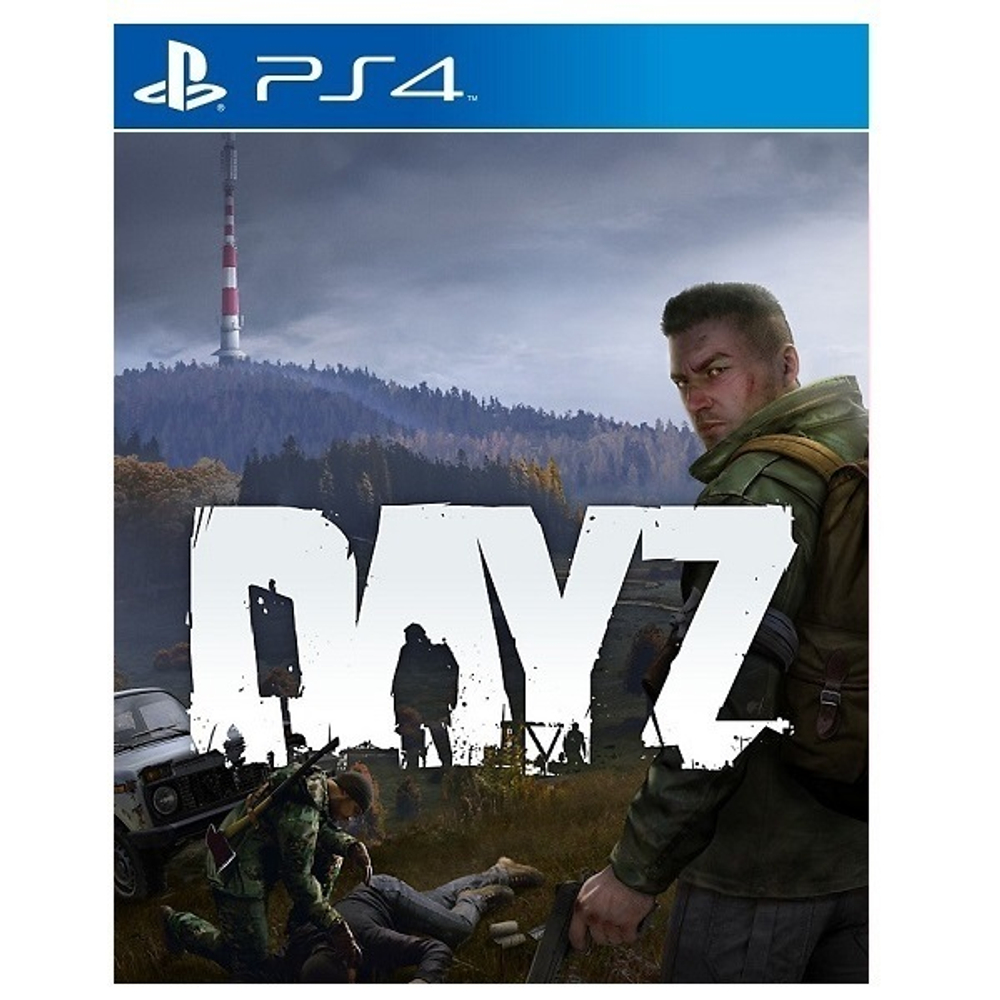 DayZ
