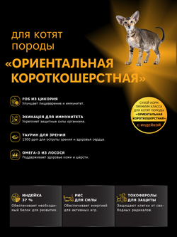 Корм сухой для котят породы Ориентальная короткошёрстная, с индейкой, 2 кг, QUATTRO