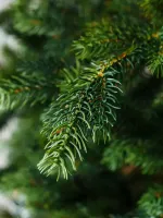 Ель искусственная «Брено» (Литая) 210 см / 2.1 м