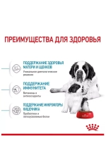 ROYAL CANIN GIANT STARTER MOTHER & BABYDOG 1-2 months (Роял Канин ДЖАЙНТ СТАРТЕР МАЗЕ ЭНД БЭБИДОГ 1-2 месяца)корм сухой для собак 18 кг.