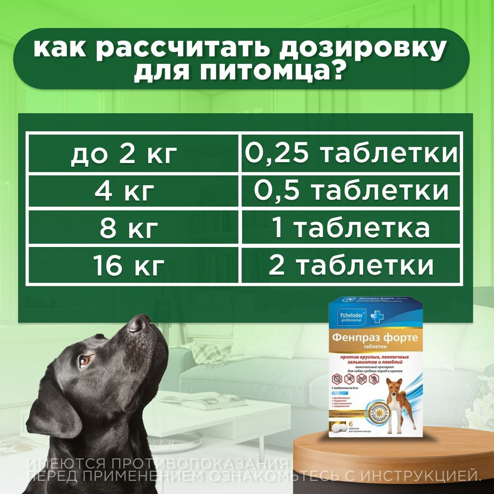 Таблетки от гельминтов и лямблий, профилактика дирофиляриоза для собак средних пород Фенпраз Форте, 6таб