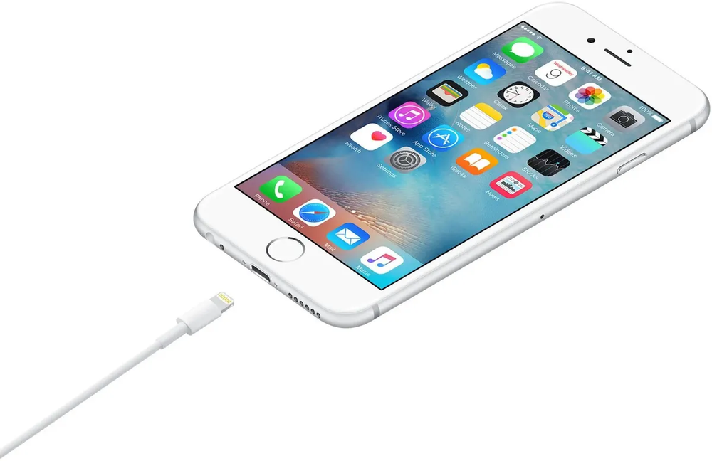 Apple Original Lightning to Usb (1m) A1480