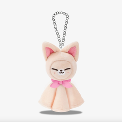 Брелок на сумку Stray Kids World Tour ＜dominATE JAPAN＞