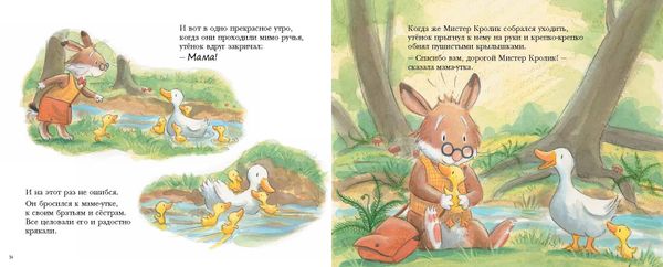 Утиная каша