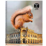 Тетрадь 48л., А5, клетка, Канц-Эксмо "В городе!", гребень, мелованный картон, твин.лак, 5 дизайнов