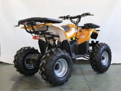 Квадроцикл GreenCamel Атакама T240 (48V 1000W R8 Дифференциал) пониженная