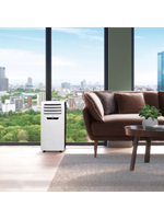 Мобильный кондиционер ELECTROLUX EACM-09 FM/N3