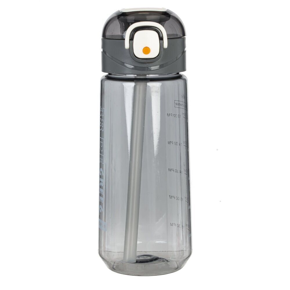 GAEM Бутылка, 590 мл, L7,5 W8 H20 см, 4в.