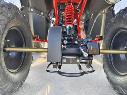 Квадроцикл PROMAX WILD 175 BASIC