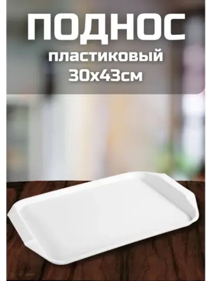 Поднос пластиковый столовый 30х43см комплект *1шт
