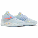 Кроссовки Nike Kd 14 14 "Enspire Friends And Family"