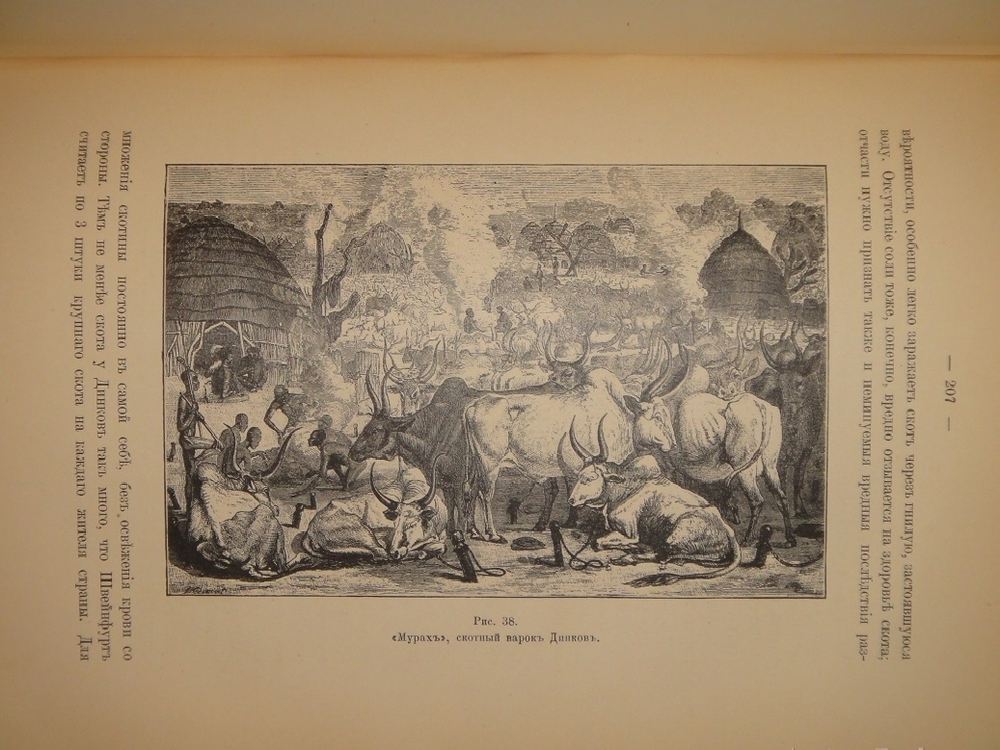 "Среди патриархов земледелия народов Ближнего и Дальнего Востока ( Египет, Индия, Цейлон, Китай и Япония ). В 3-х томах". И.Н.Клинген. 1899г.