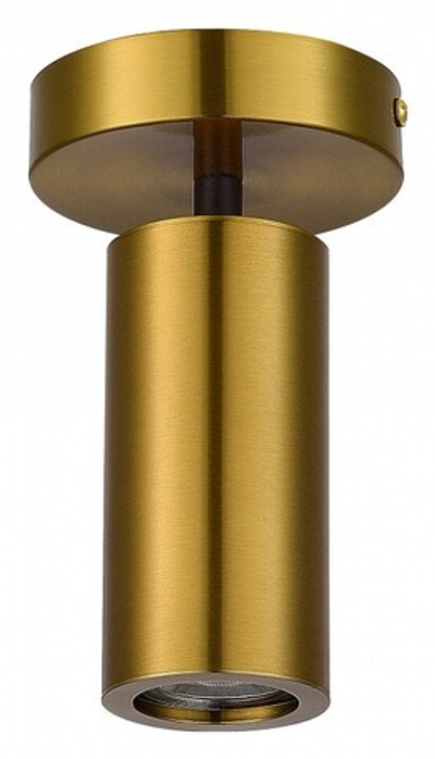 Светильник на штанге ST-Luce Talia SL1215.402.01