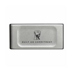 Внешний SSD диск Kingston 1TB XS2000 Серый