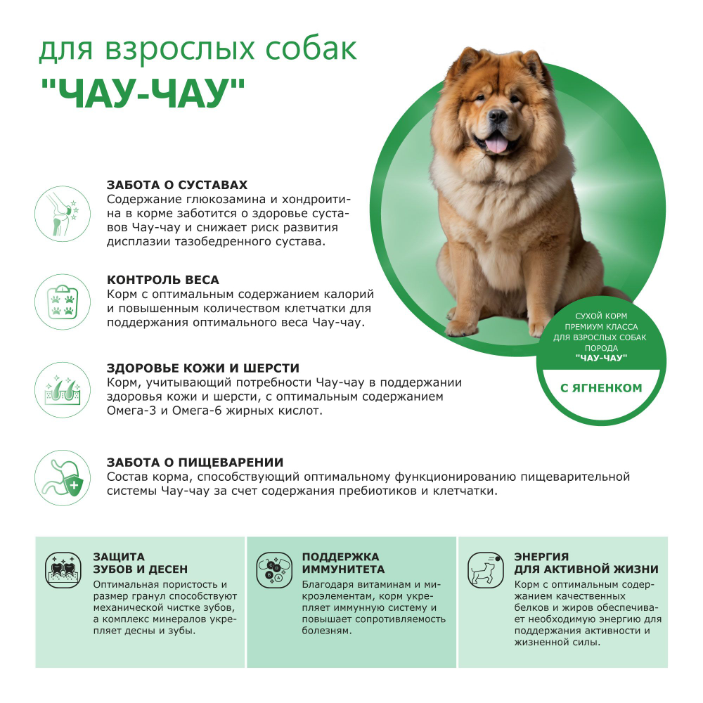 Корм сухой для взрослых собак породы Чау-чау, с ягненком, 12 кг, QUATTRO