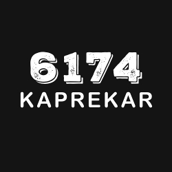 Принт PewPewCat 6174 Kaprekar на черной футболке