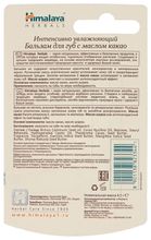 Himalaya Herbals Бальзам-стик для губ с маслом какао 4.5 г