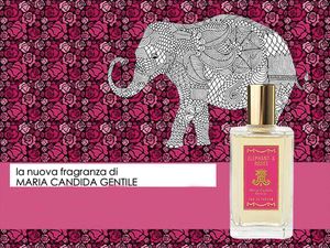 Maria Candida Gentile Elephant and Roses