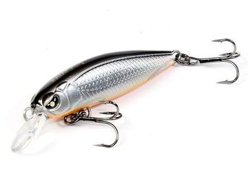 Воблер плавающий LJ Pro Series BASARA F 04.00/101