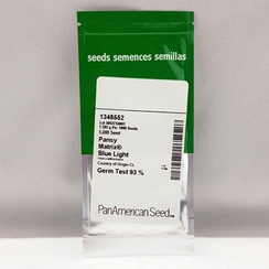 Фиалка Виттрока MATRIX LIGHT BLUE