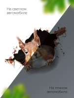 Наклейка автомобильная Белка выглядывает на прозрачном фоне