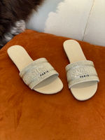 Christian Dior Dway Slide