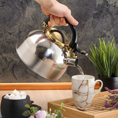 Чайник нерж, 3 л, свист, ручк бакелит, с силик покр, Daniks, Мадрид Голд, индукц, M-001PM