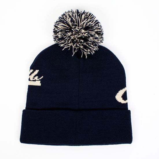 Шапка  ЗАПОРОЖЕЦ  Logo Beanies NAVY
