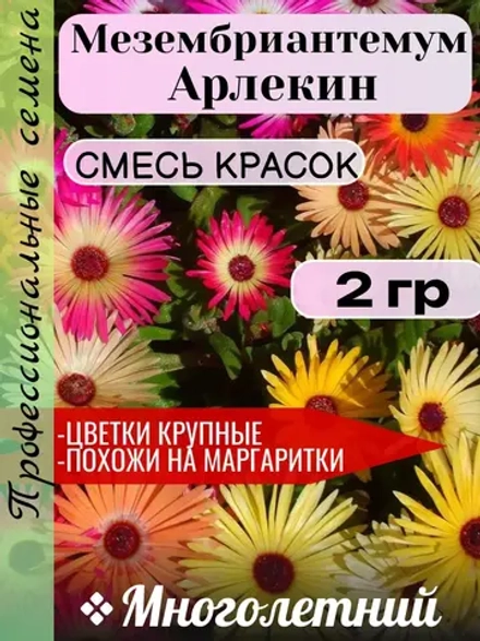 Семена Мезембриантемум Арлекин 2 гр