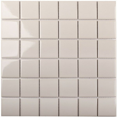 Мозаика Grey Glossy 48x48 (WB30216)