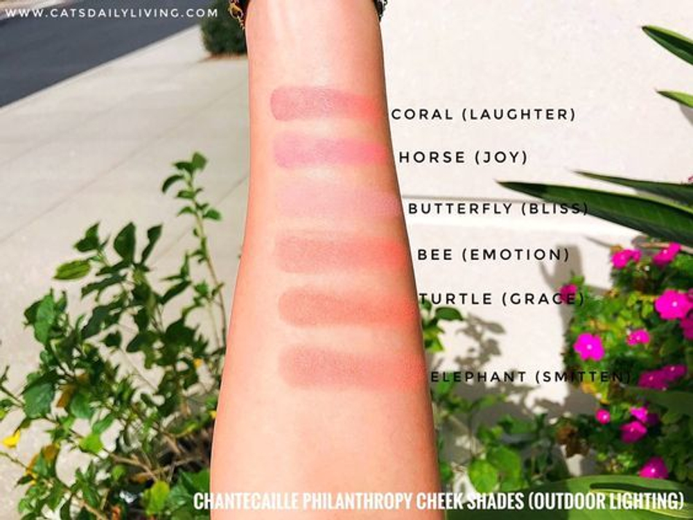 CHANTECAILLE Philanthropy Cheek Shade Grace