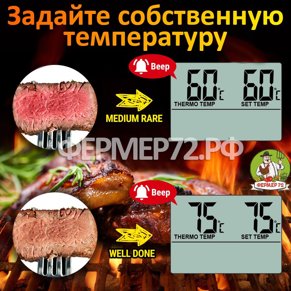 Кухонный термометр с таймером ThermoPro TP-16