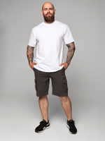 Шорты карго плотные Abercrombie & Fitch AB170