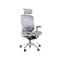 GTChair Dvary X grey
