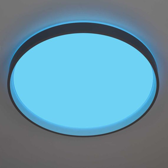 Светильник потолочный Citilux ENZO CL753513G