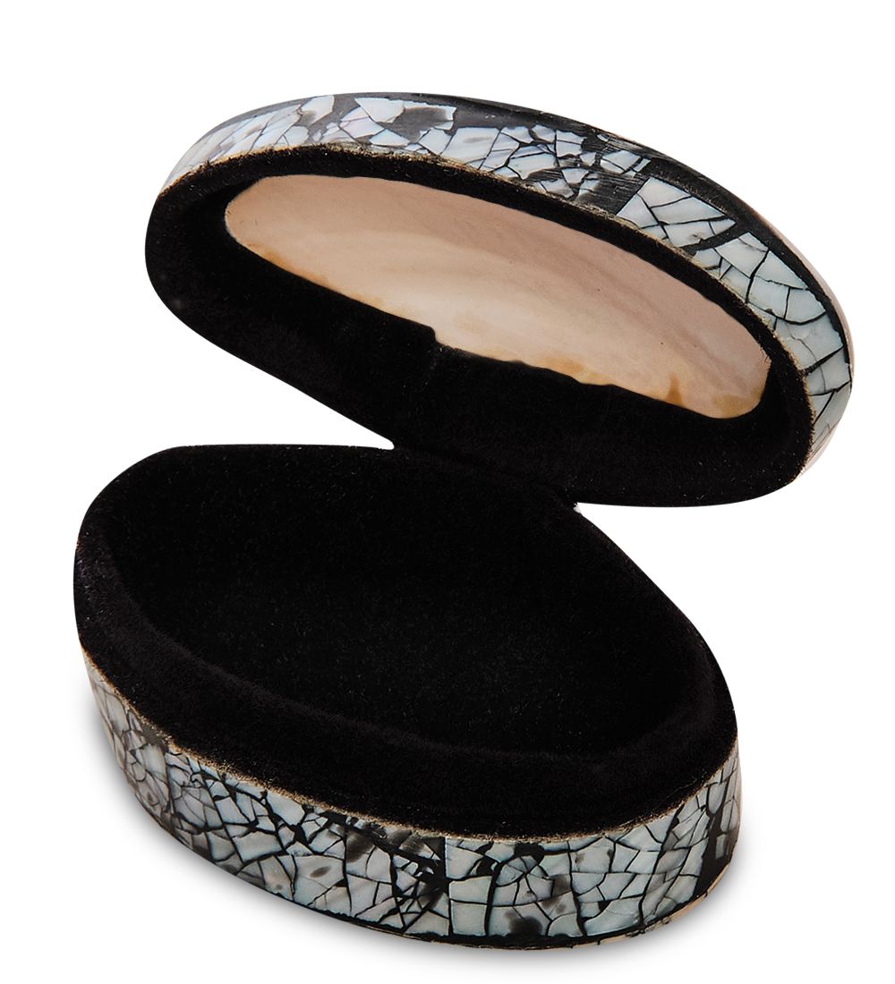 Decor and Gift 54-039-02 Декоративная шкатулка «Ракушка»