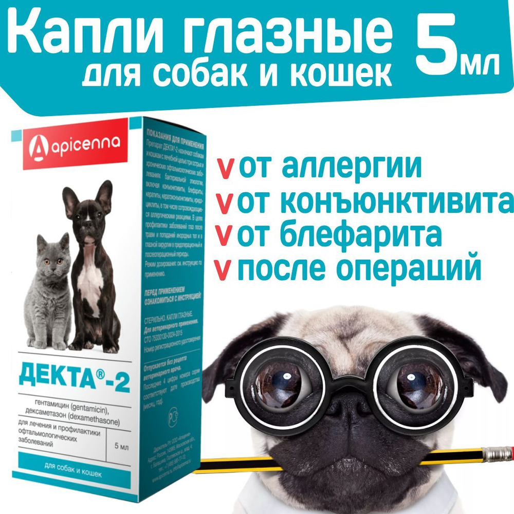 Капли глазные от аллергии, противовоспалительные бактерицидные для собак и кошек Apicenna Декта-2 / Гентамицин, Дексаметазон, 5мл