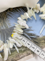 Нить из натуральных ракушек неровной формы