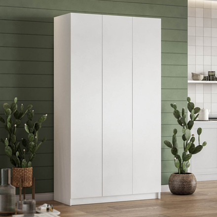 Идея 120 шкаф распашной 3Д