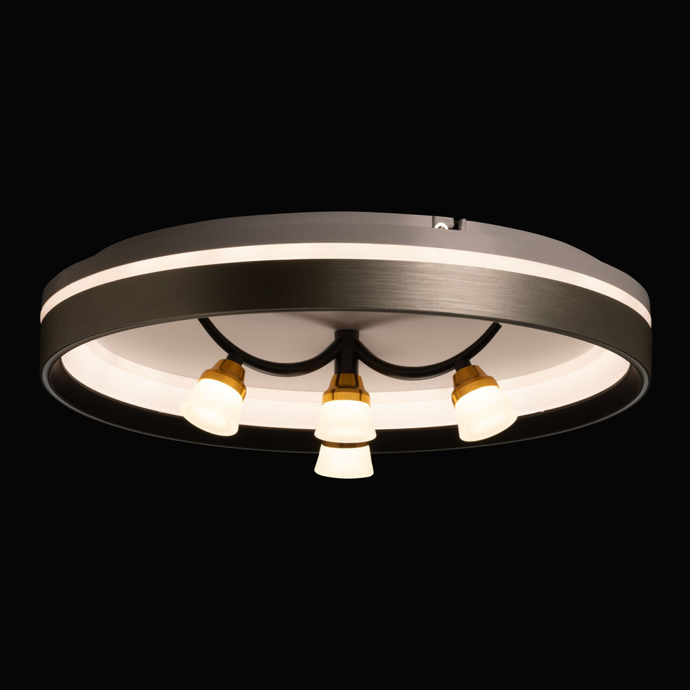 Потолочный светодиодный светильник De City Норден 660014901