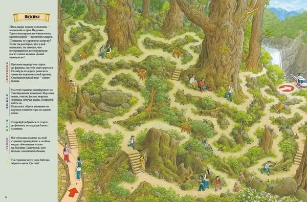 На Земле и в океане. Лабиринты